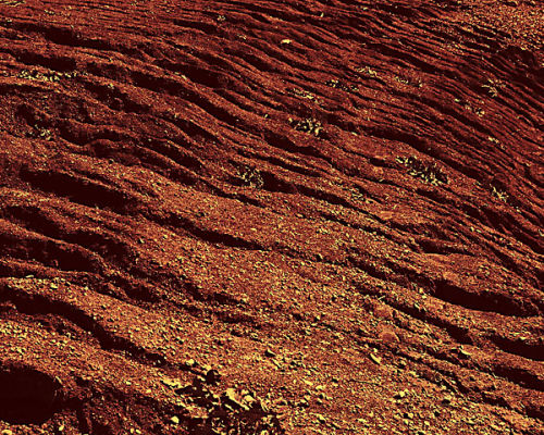 Earth Study